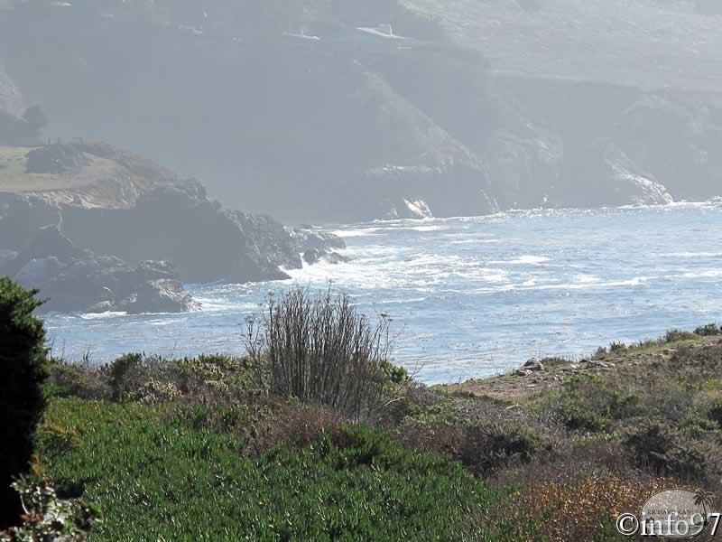 IMG_2047.jpg