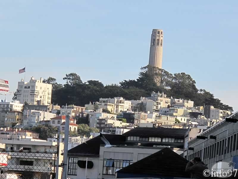 IMG_1235.jpg