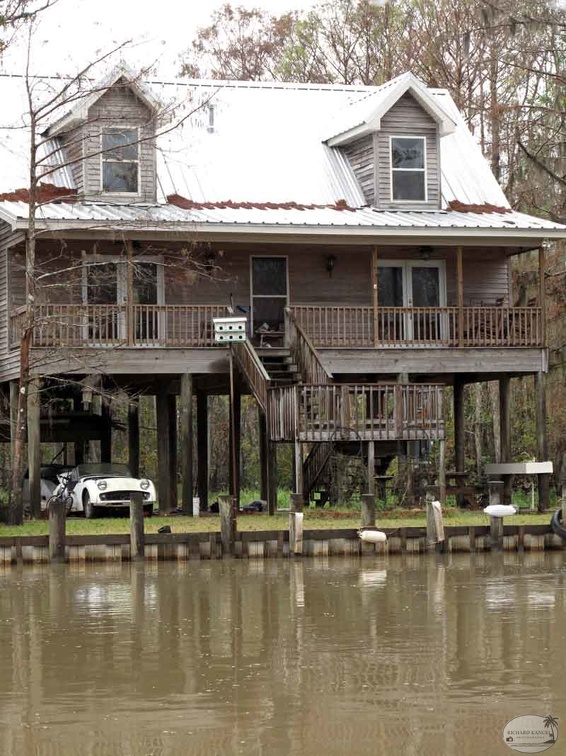 bayou15.jpg