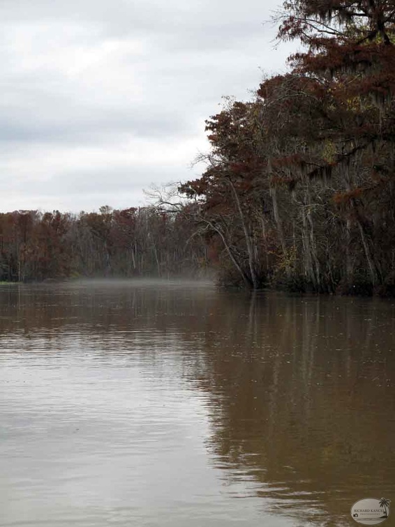 bayou18.jpg