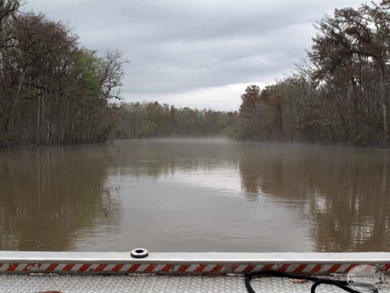 bayou20.jpg