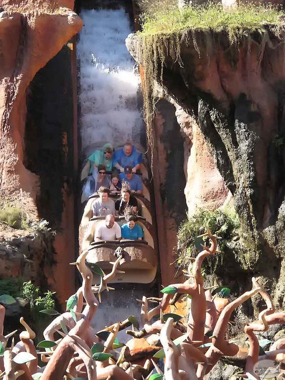 disneyworld9.jpg