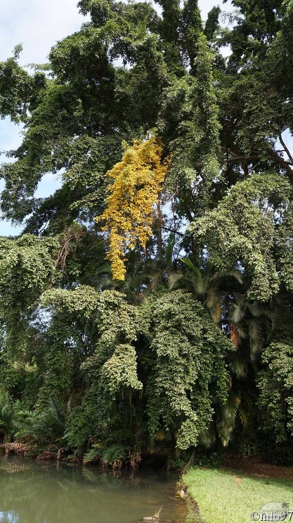 jardin-eau-15.jpg