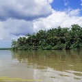 guyane05-st-laurent-fleuve.jpg