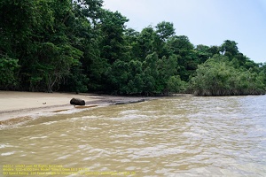 guyane09-st-laurent-fleuve