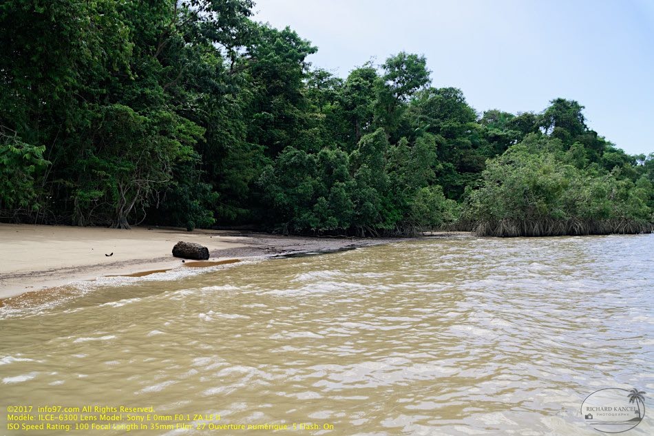 guyane09-st-laurent-fleuve.jpg