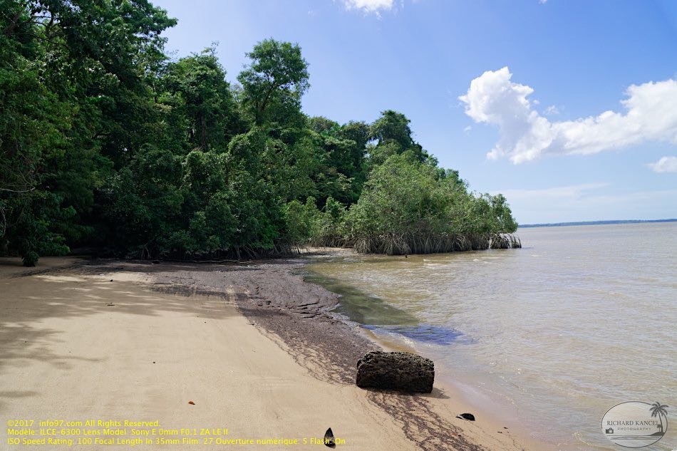 guyane10-st-laurent-fleuve.jpg