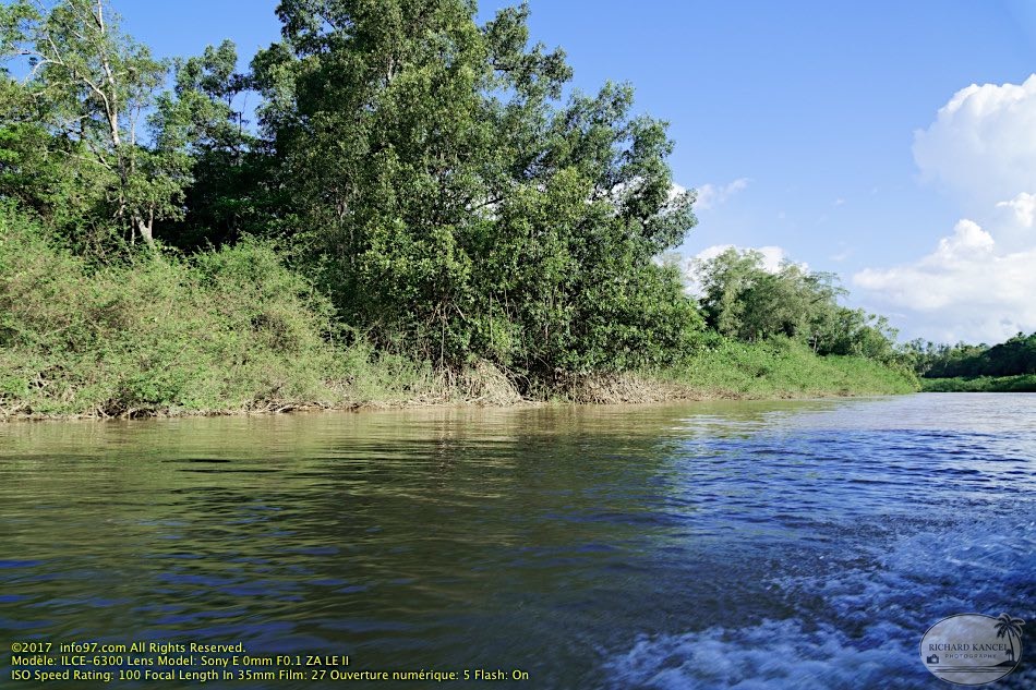 guyane18-st-laurent-fleuve.jpg