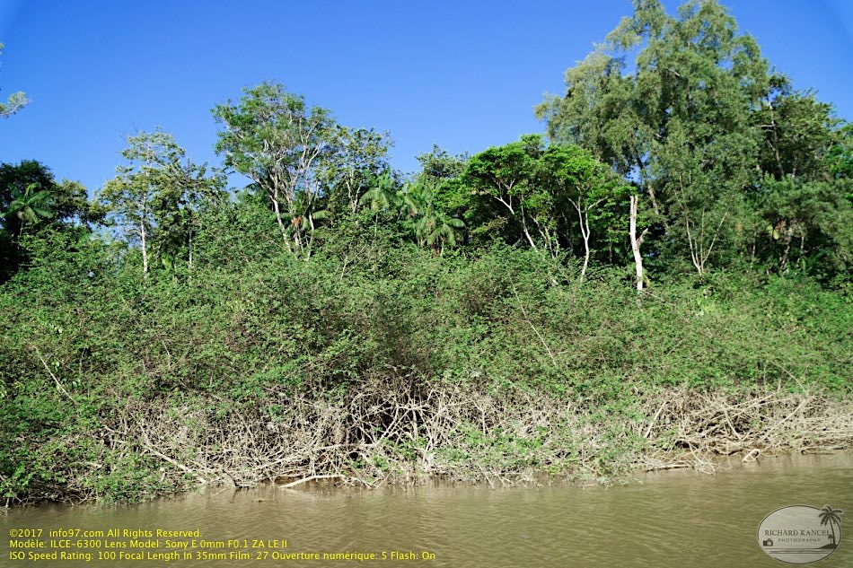 guyane19-st-laurent-fleuve.jpg