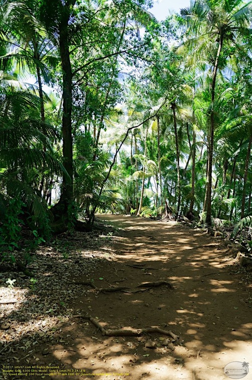 guyane035-iles-du-salut.jpg