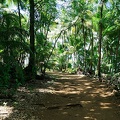 guyane035-iles-du-salut.jpg