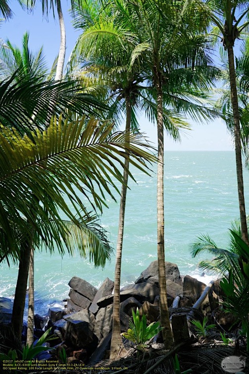 guyane036-iles-du-salut.jpg