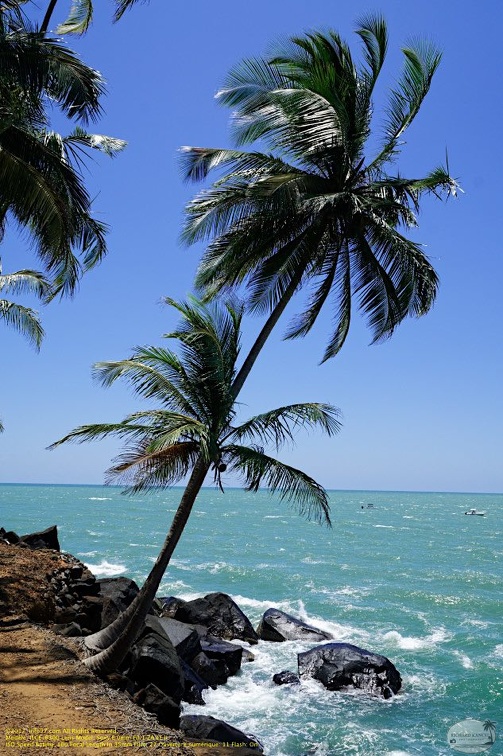 guyane047-iles-du-salut.jpg