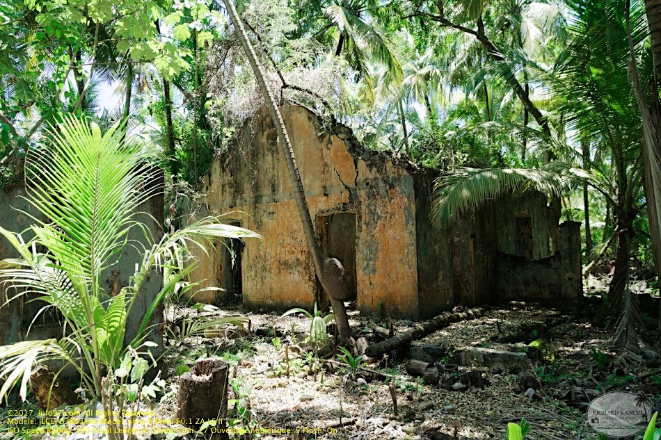 guyane064-iles-du-salut.jpg