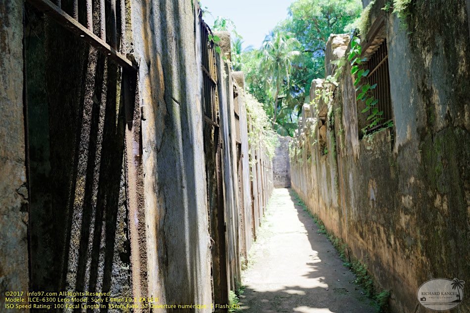 guyane070-iles-du-salut.jpg