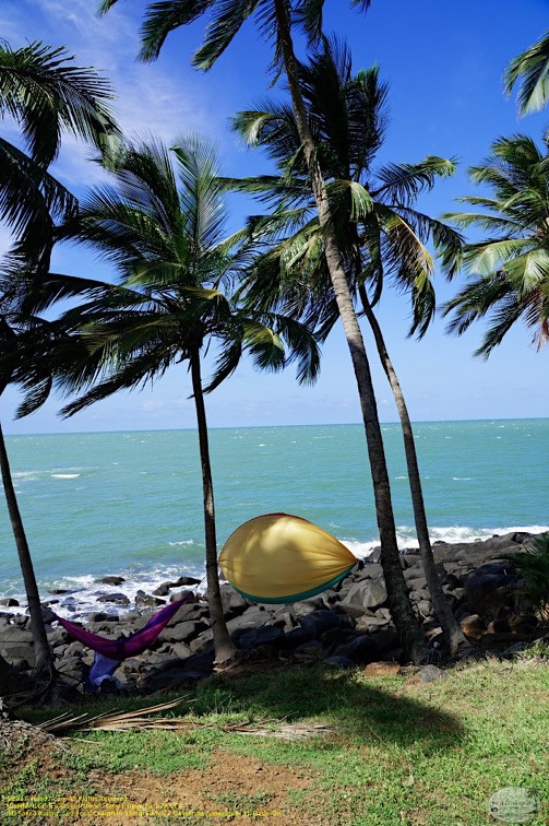 guyane092-iles-du-salut.jpg