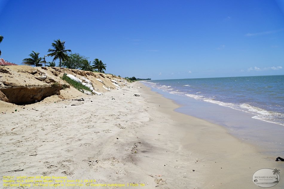 guyane001-marais-kaw.jpg