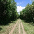 guyane003-marais-kaw.jpg