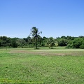 guyane004-marais-kaw.jpg