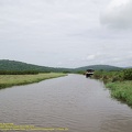 guyane010-marais-kaw.jpg