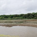 guyane015-marais-kaw.jpg