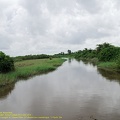 guyane018-marais-kaw.jpg