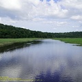 guyane064-marais-kaw.jpg