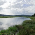 guyane065-marais-kaw.jpg