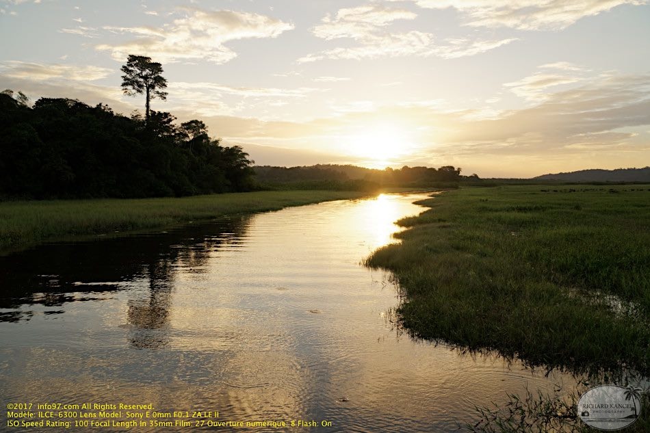 guyane076-marais-kaw.jpg