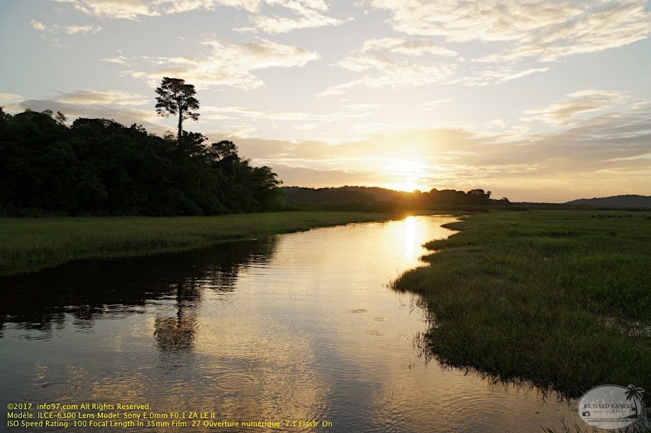 guyane078-marais-kaw.jpg