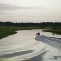 guyane081-marais-kaw.jpg
