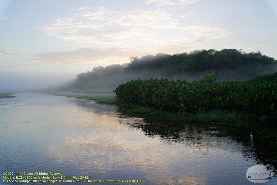 guyane092-marais-kaw.jpg