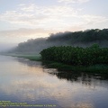 guyane092-marais-kaw.jpg
