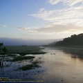 guyane099-marais-kaw.jpg