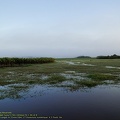 guyane105-marais-kaw.jpg