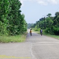 guyane19-montagne-des-singes.jpg