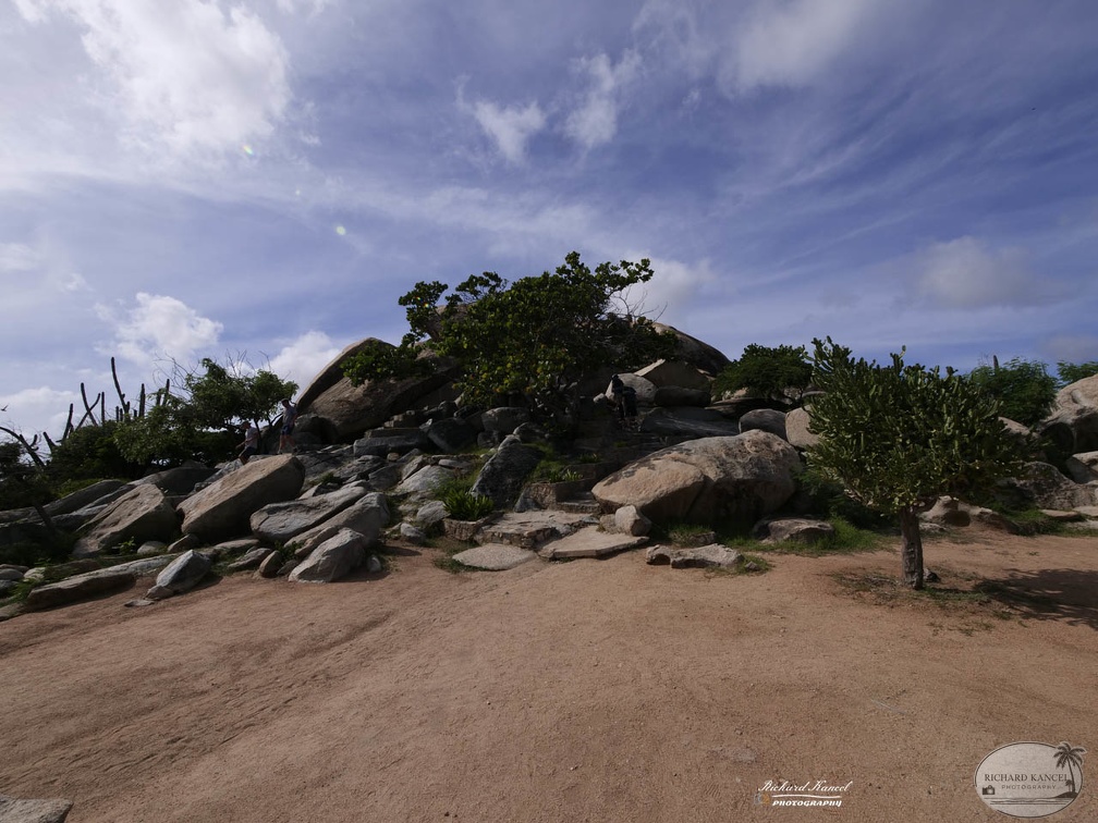aruba-10002.jpg