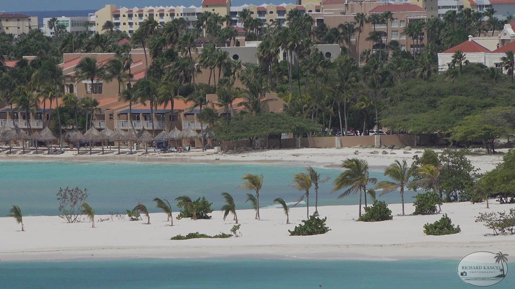 aruba-2789.jpg