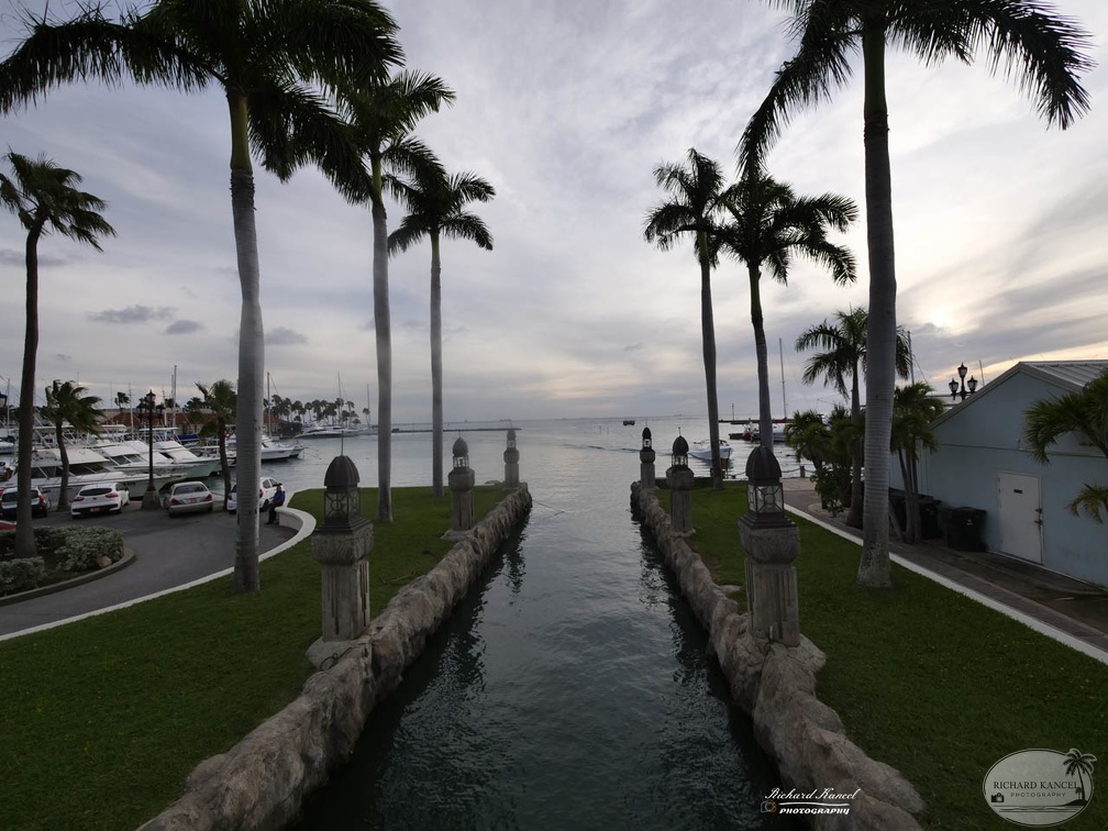 aruba-287.jpg