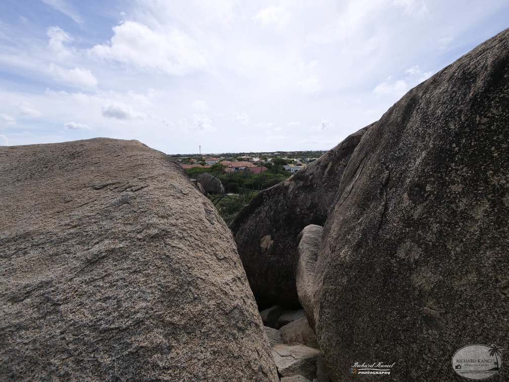 aruba-3666.jpg