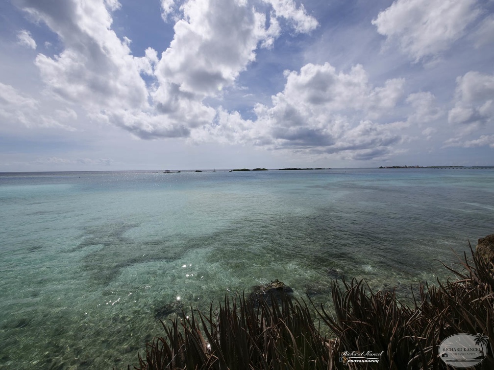 aruba-6.jpg