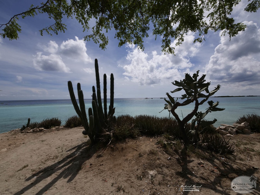 aruba-7.jpg