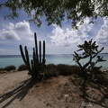aruba-7.jpg