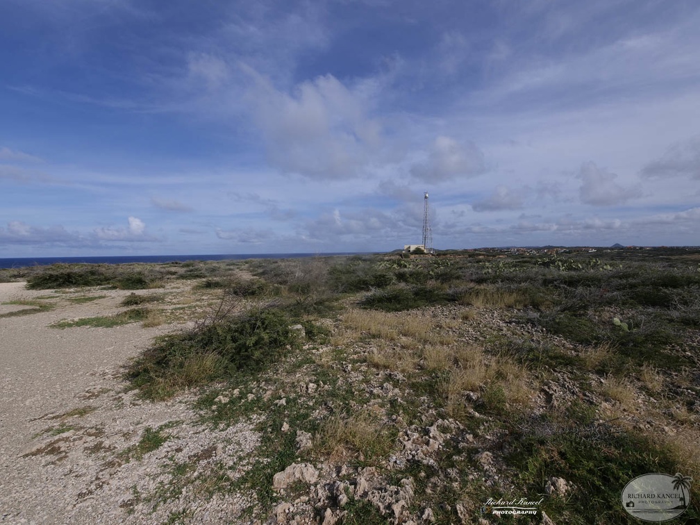 aruba-7090.jpg