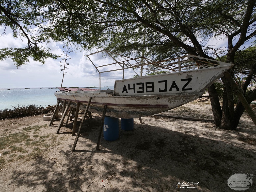 aruba-8.jpg