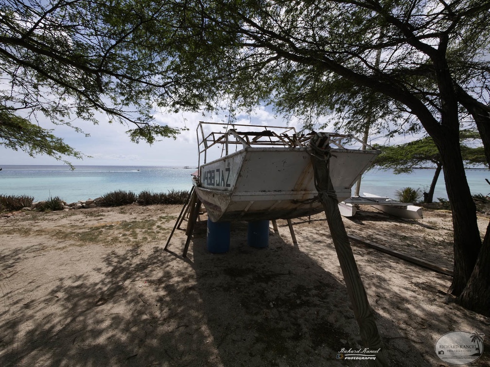 aruba-9.jpg