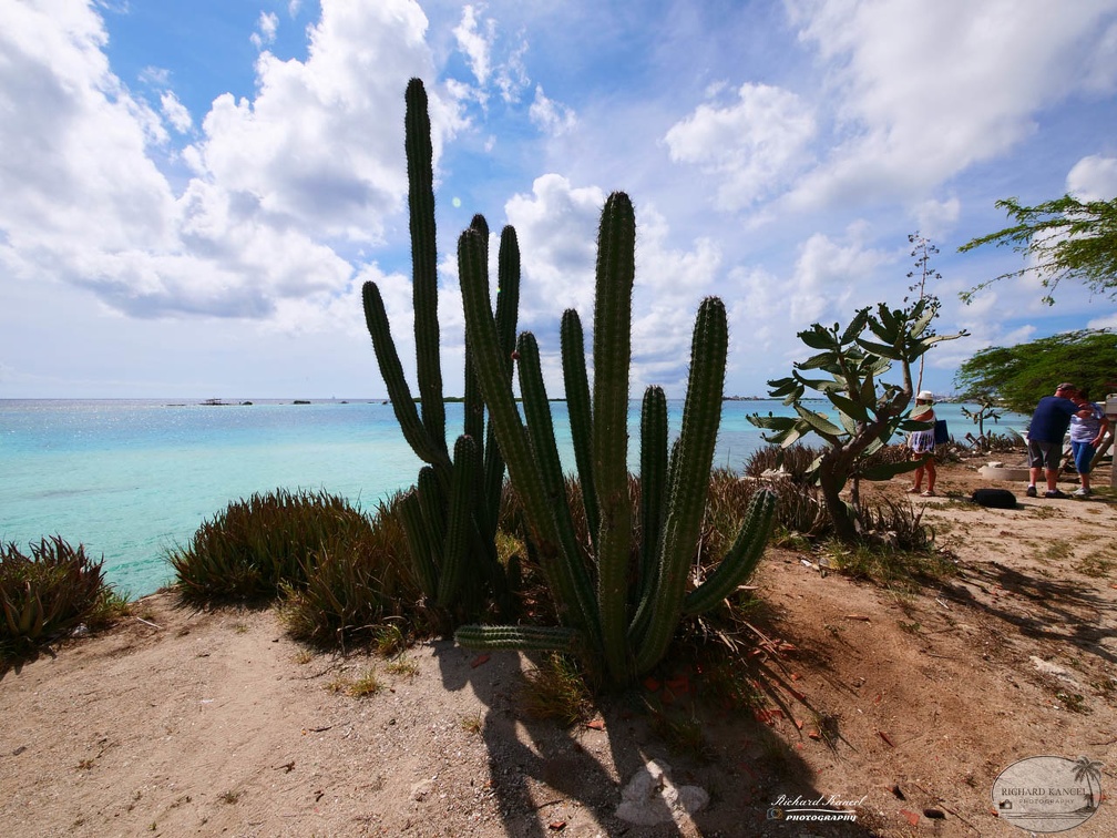 aruba-b059.jpg