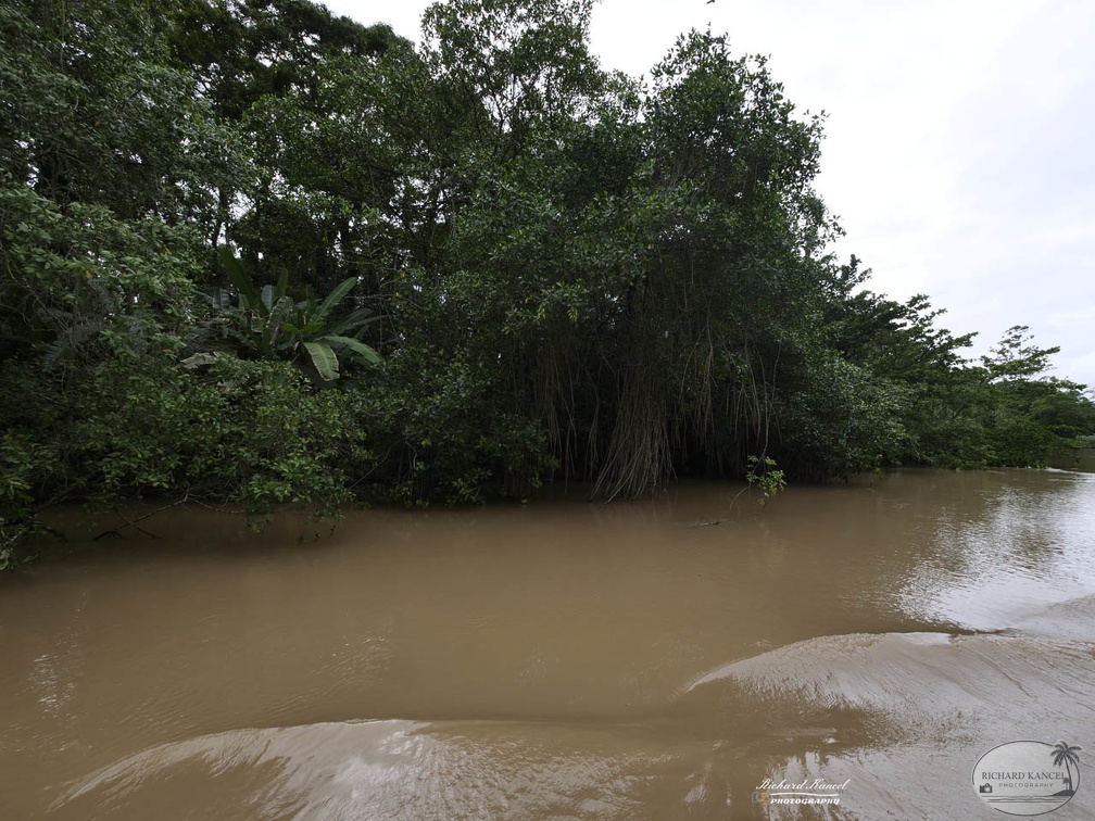 costa-rica-a136.jpg