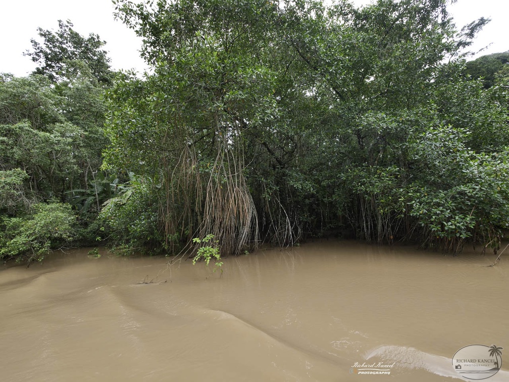 costa-rica-a137.jpg