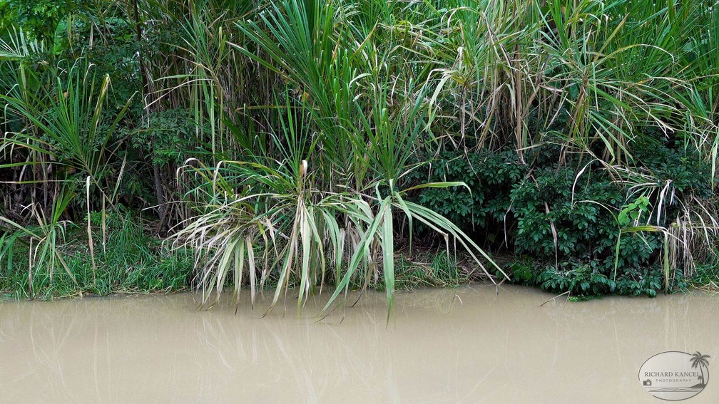 costa-rica-a151.jpg